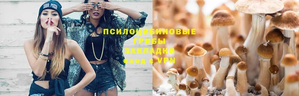 марихуана Абаза