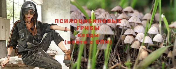 меф Алзамай